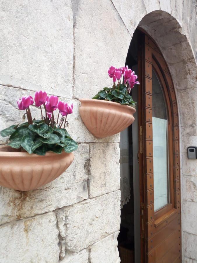 La Chiocciola Assisi Apartamento Exterior foto